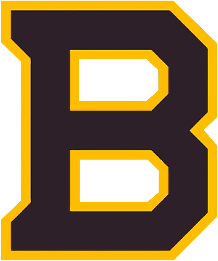 Boston Bruins 2019 Special Event Logo iron on transfers for fabric